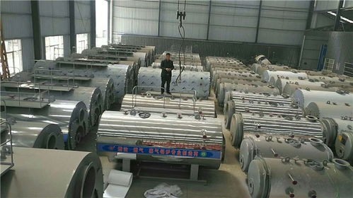 赤峰0.5t燃氣蒸汽鍋爐定制 遠大太康鍋爐廠 蒸汽鍋爐高清圖片 高清大圖