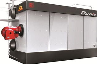 棗莊szs燃油 氣 蒸汽 熱水 鍋爐銷售