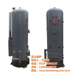 宜賓市豆腐鍋爐 藍山鍋爐 定做豆腐鍋爐