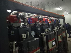 食品機(jī)械配套蒸汽鍋爐 高效廚房設(shè)備的核心動(dòng)力